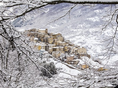 2015 – Saccoccia Luigi – Parco Nazionale d’Abruzzo, Lazio e Molise (1024×683)