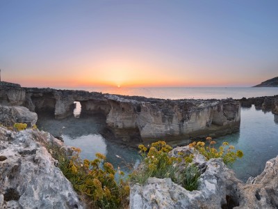 Biasco Maurizio – Parco Naturale Regionale Costa Otranto – S.Maria Leuca – Bosco Tricase (1024×654)