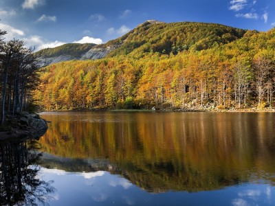 Concari Erik – Parco Nazionale Appennino Tosco-Emiliano (1024×683)