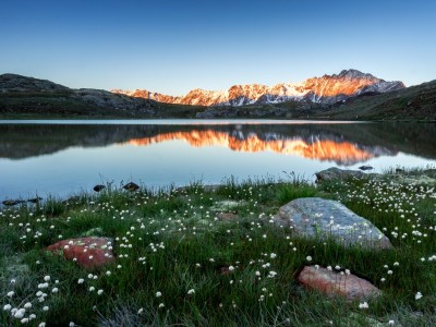 Perziano Giorgio – Parco Nazionale dello Stelvio (1024×704)