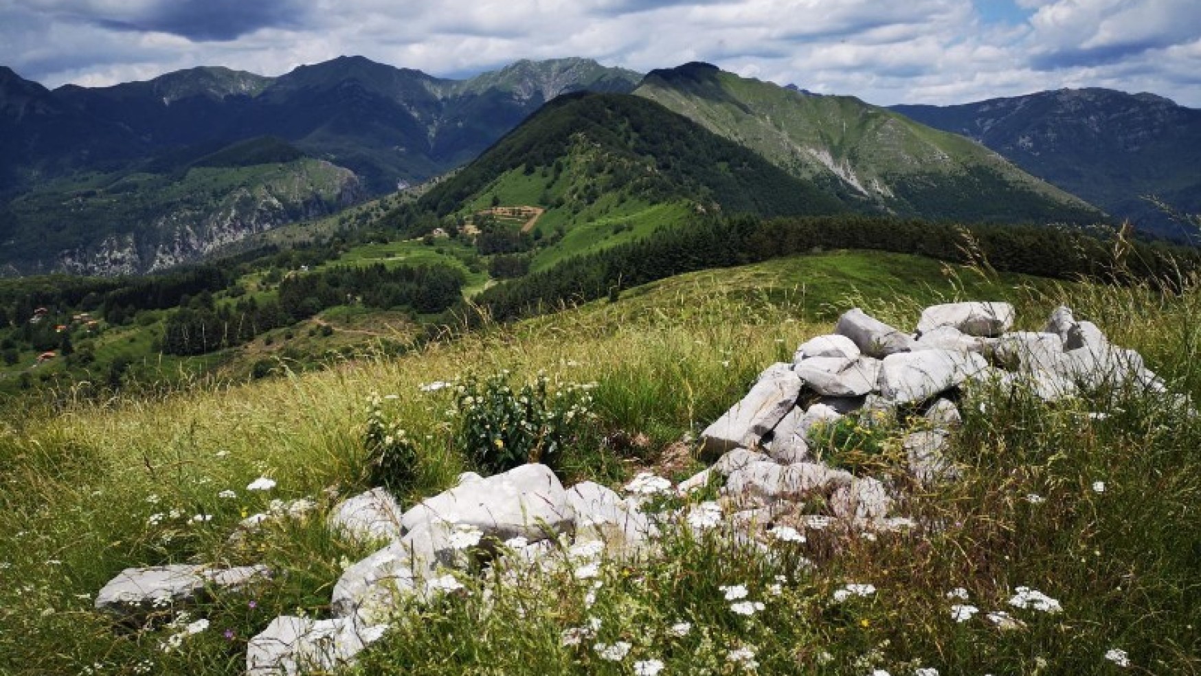 C’E’ UNO STRADONE IN MEZZO AL BOSCO