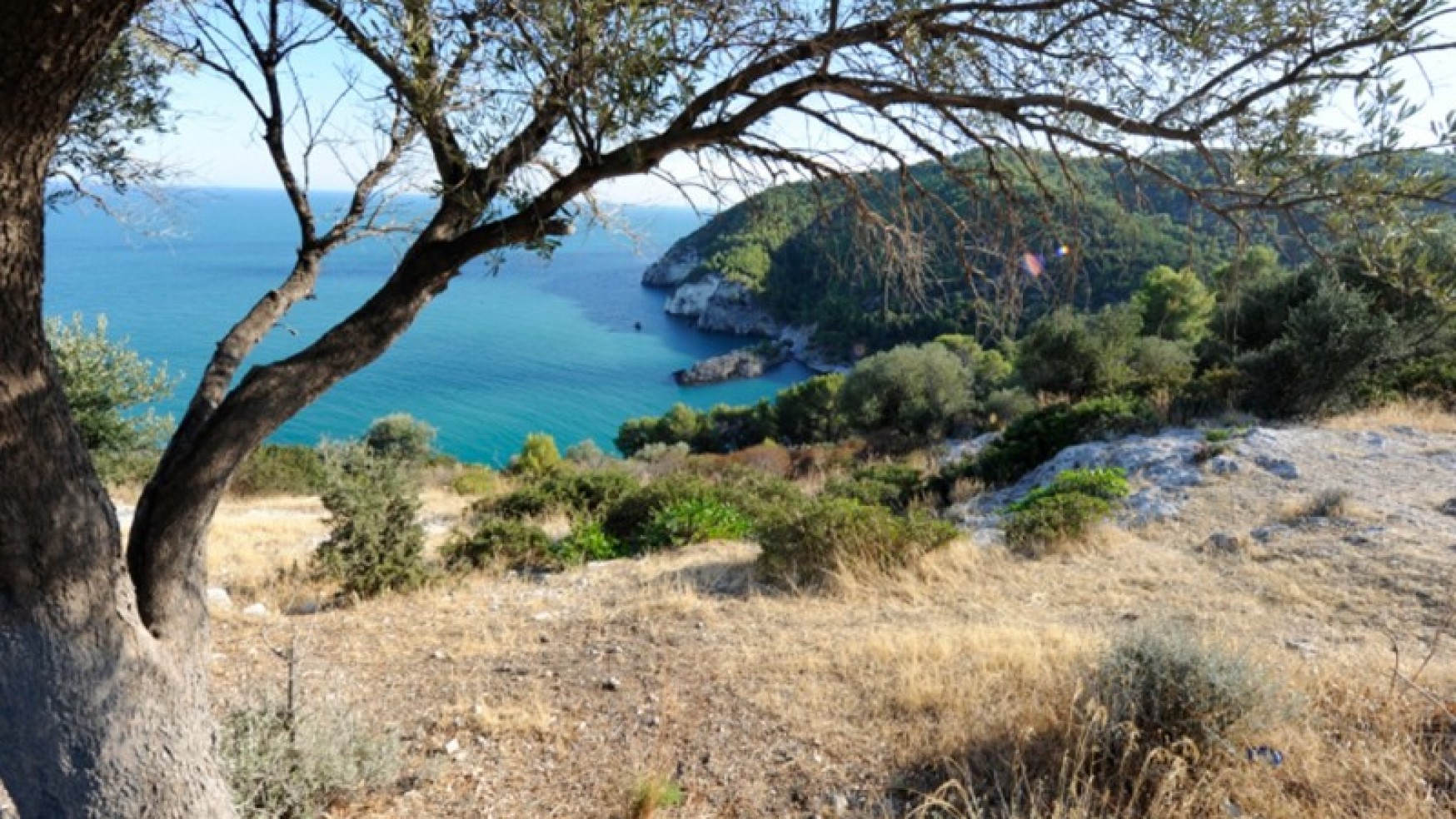 UNA SUPERSTRADA (850 MILIONI) MINACCIA IL PARCO NAZIONALE DEL GARGANO IN PUGLIA