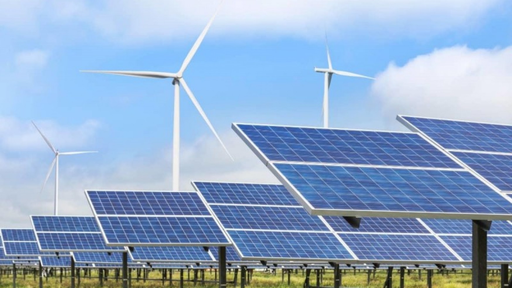 “LA LOBBY RINNOVABILI”: IL MINISTRO CINGOLANI CONTRO LE ENERGIE ALTERNATIVE