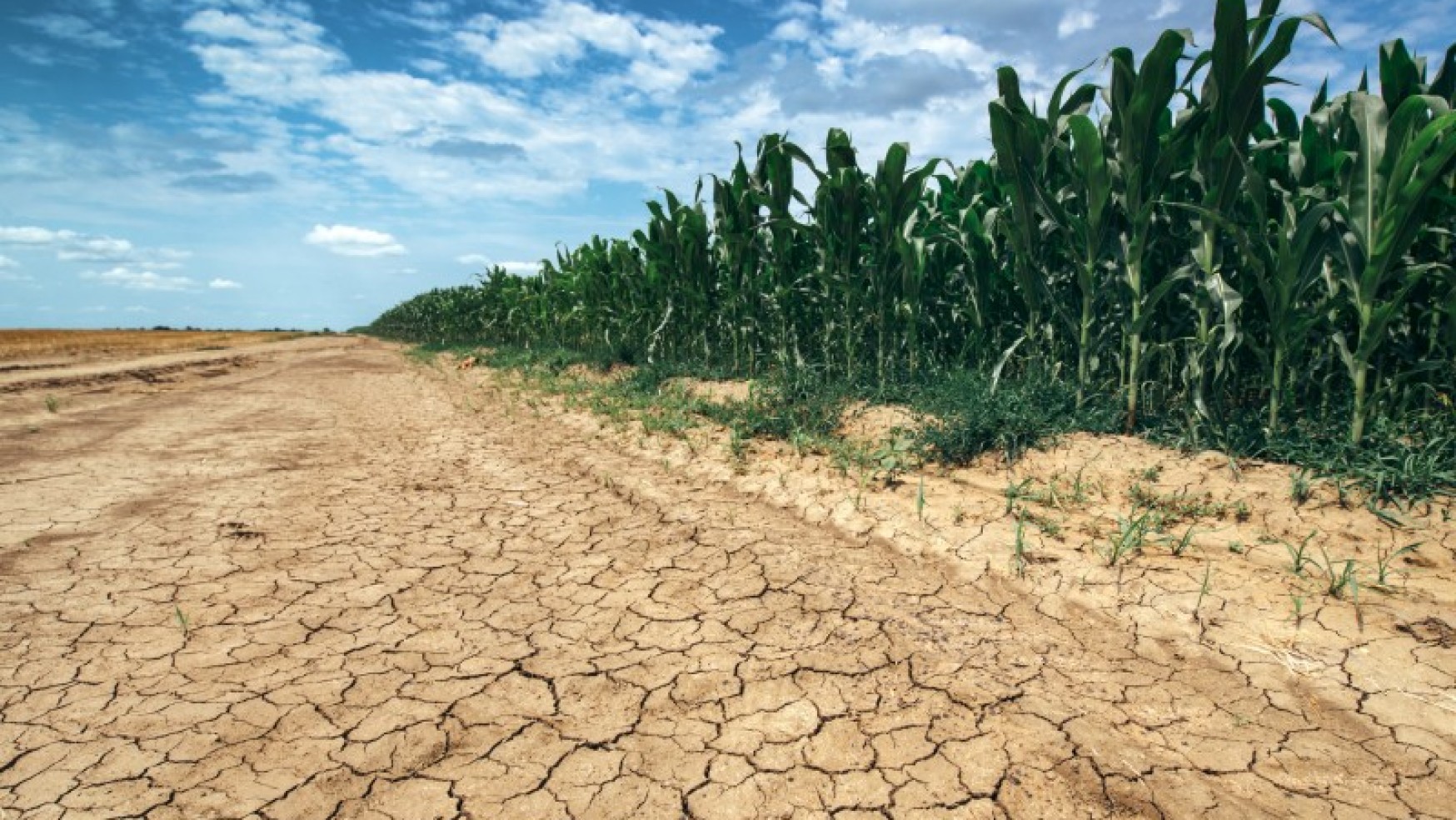 EMERGENZA ACQUA: IL CLIMA, LA SICCITA’ E I NOSTRI SPRECHI (42% DI PERDITE IN RETE)