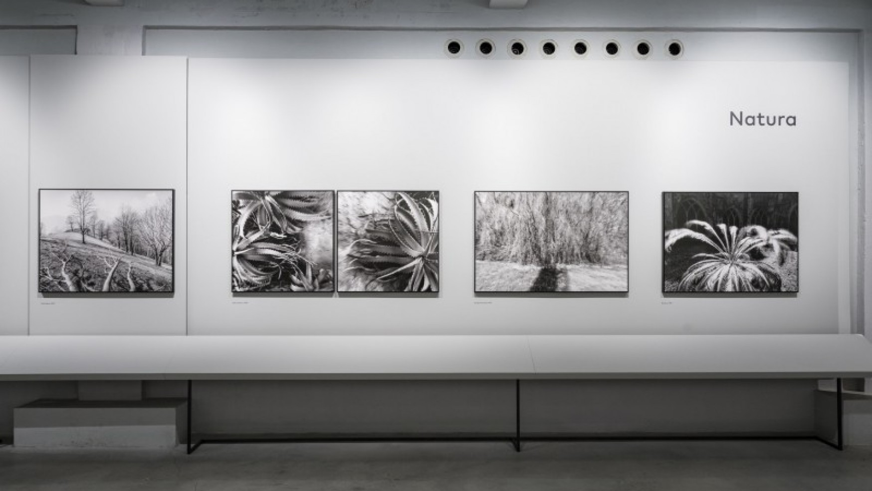 GALLERIE D’ITALIA: INTESA SANPAOLO PRESENTA 80 FOTO DI MIMMO JODICE A TORINO