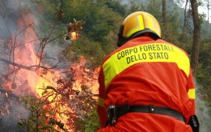 CORPO FORESTALE